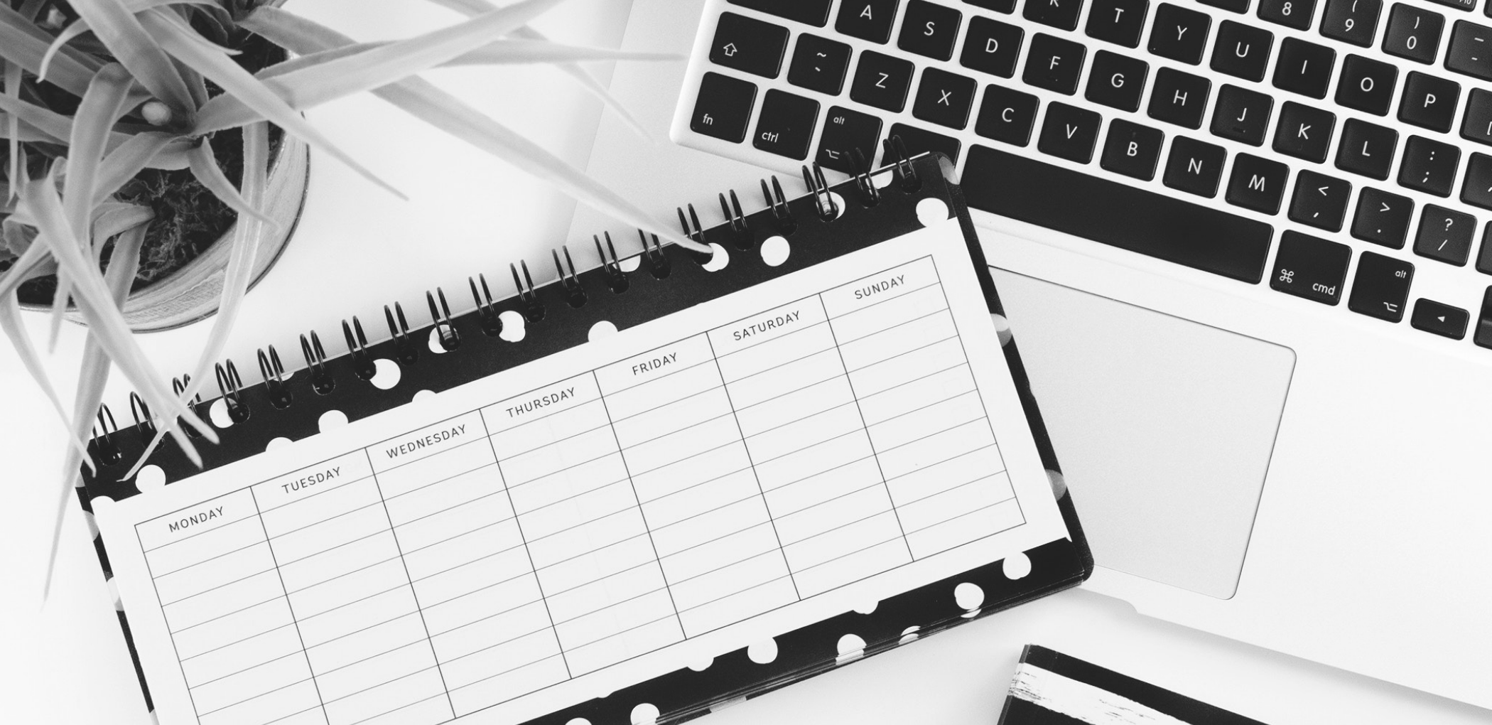 Hungry for Happiness