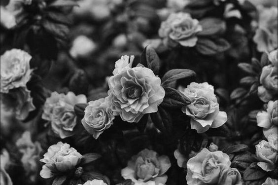 Hungry for Happiness