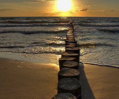 Hungry for Happiness